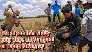 Bắt đi con Rắn này đã giúp được cho nhiều người | TGSB #860