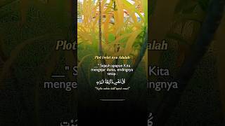 Renungan diri #shorts #adayinmylife #story #viral
