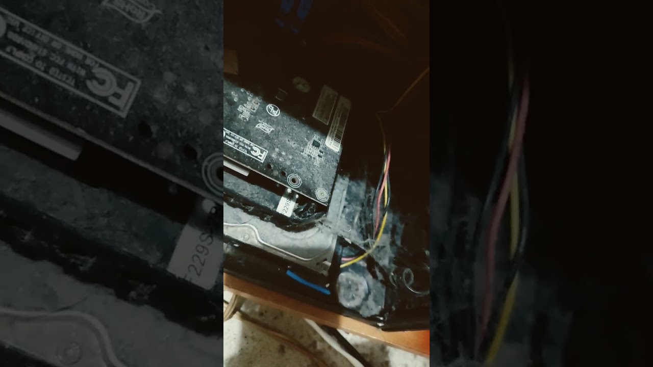 Ecosystem final boss😭 