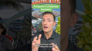 Pompano Beach’s New Unwanted Resident #southflorida #pompanobeach