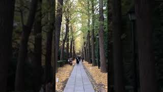 Otaguro Park Autumn Japan