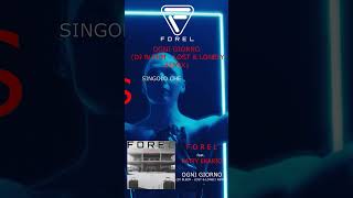 FOREL - Ogni Giorno (Dj Bleem - Lost & Lonely Remix) #music #techno #remix #electronicmusic