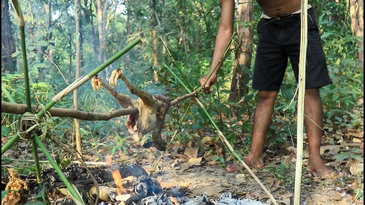 Primitive Solution, Make a trap to catch wild chicken and 