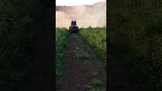 Tutaya etkili ilaçlama