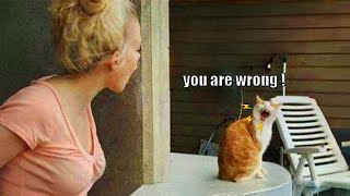 When Your Cat Starts Arguing With You Like a Real Human 😹💬⚡