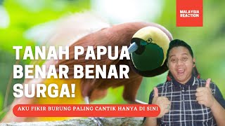 🇲🇾MALAYSIAN REACTION |🇮🇩TANAH PAPUA: A PARADISE FOR BIRDS |