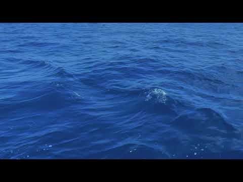 Video: Vaikse ookeani plaat on litosfääriplokkidest suurim ja ebatavalisem
