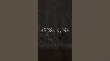القارئ : ماهر المعيقلي سورة : المائدة #قرآن #ارح_قلبك #اكسبلور #ماهر_المعيقلي . . .