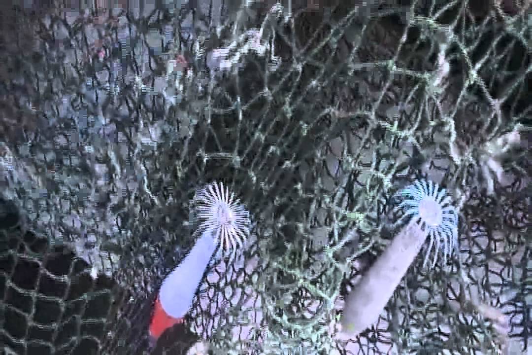 1 ACOSEVI  FERIA SABORES  MALIAYOS A TIERRA MAR Y QUESO Y TALLER COCINA VILLAVICIOSA 2012.avi.avi