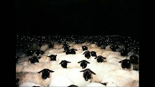 тёмный принц - гной [@negativecreeper]