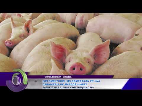 NOTA 3 FAMILIA PAREJENSE CON TRIQUINOSIS