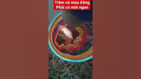 bí quyết câu tr.ắ_m cỏ mùa đông