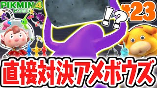 Take on the strongest Amebouzu with purple Pikmin! Conquer the