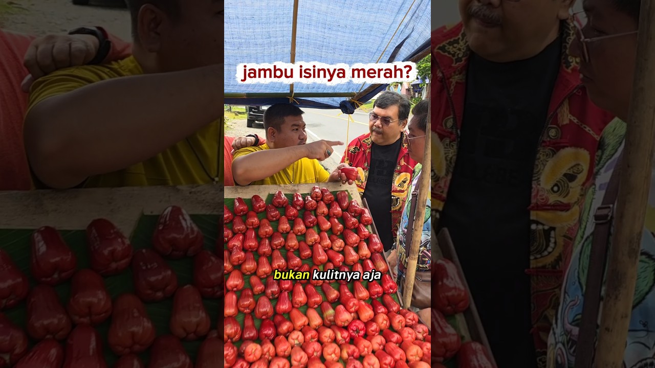 jambu air isi nya merah #jambuair