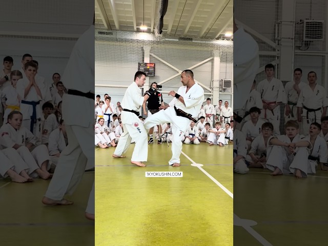 Baltic Fighting Camp 2026 #kyokushin #shinkyokushin #karate #1kyokushin #一極真 #極真会館