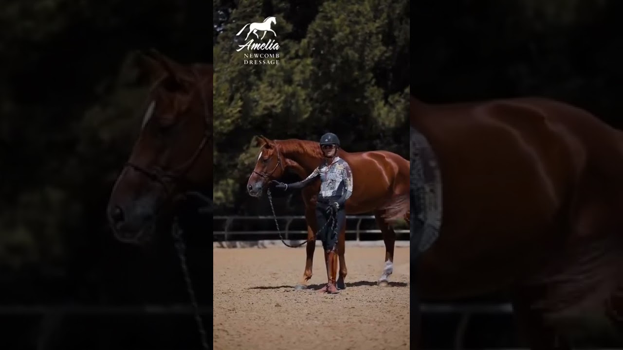 Powering my horse with Pre-Ride Relaxation