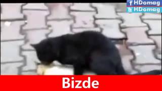 Onlarda Belgesel Vs Bizde Belgesel Ahmet Körpe