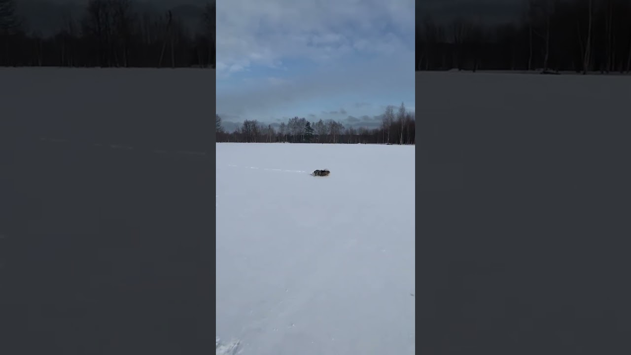 Помски: как придумали кличку Финик? 