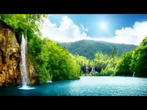 ორი საათის განმავლობაში მუსიკის შესასწავლად, ჭამა, გარემოს დაცვის, დაისვენოთ, განკურნება სტრესი,