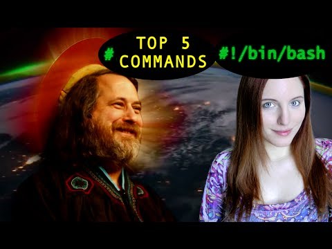 Top 5 Command Line Essentials - BASH Basics