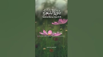 إِلَّا مَنْ أَتَى اللَّهَ بِقَلْبٍ سَلِيمٍ - سورة الشعراء