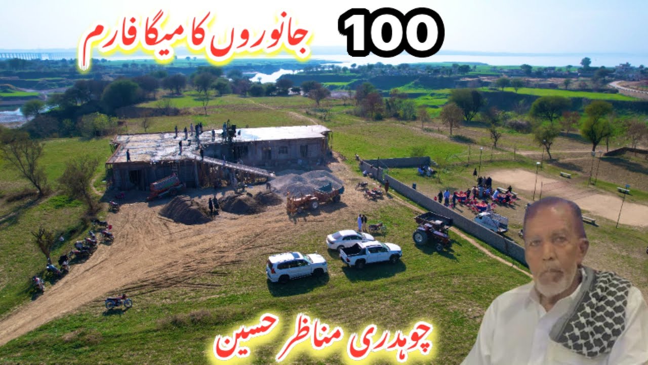 Chaudhry Manazir Hussain 100 Animals Dairy Farm Project | Lenter Ceremony | Dhalla Islamgarh AJK 
