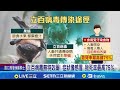 印度病毒疫情