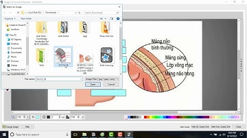 Học Giải Phẫu với ứng dụng Anki