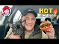 Hot honey chicken sandwich with a puppy