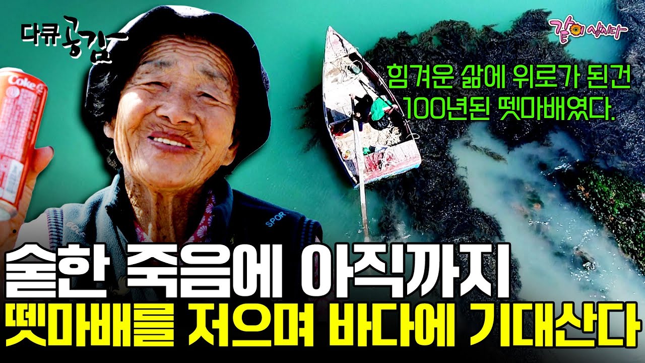 [다큐공감] 15살에 부모님을 잃고, 남편도 3년만에 사별했다.. 많은걸 잃었어도 유일하게 웃음은 잃지 않은 박복탑 할머니ㅣ203ㅣKBS 2017.06.10