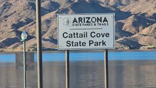 Cattail Cove State Park  1 hour North of Quartzsite Arizona   January 2024