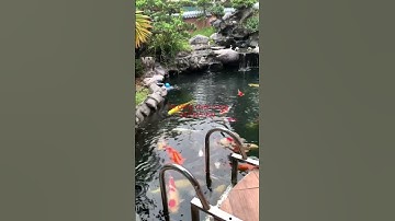 Thác nước hồ cá koi đẹp nên thơ