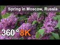 Moscow Spring. 360 video in 8K. Virtual travel