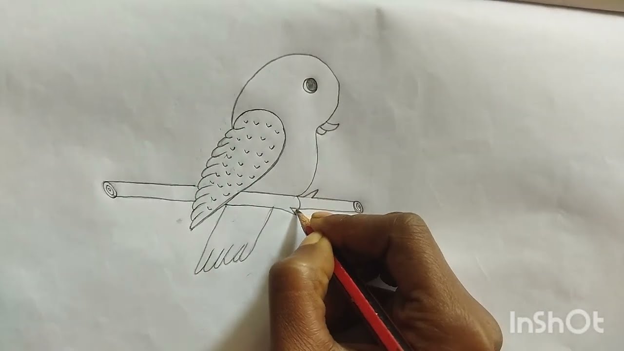 How to draw a bird from 2 number//kaisa 2 number sa bird draw kara