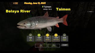 Russian Fishing4- Belaya River Taimen