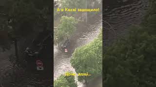 У Києві задощило! 20.06.2023