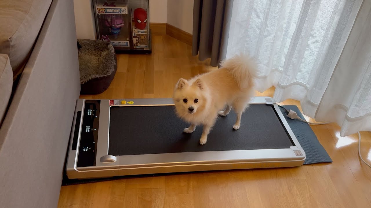 CINTA DE CORRER PORTATIL DE AMAZON, MERECE LA PENA???