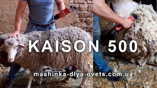Машинка для стрижки овец - Kaison 500