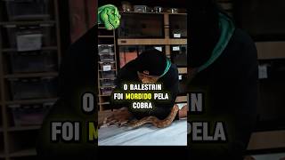 JULIÃO FOI MORDIDO PELA COBRA NO MEIO DO VÍDEO 😳👆 #juliob...