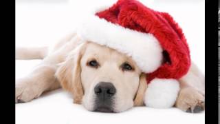 Merry Christmas Images Clip Art screenshot 4