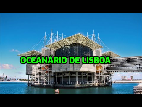 Video: Lizbonski akvarij (Oceanario de Lisboa) opis in fotografije - Portugalska: Lizbona