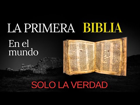 ¿Cuál fue la