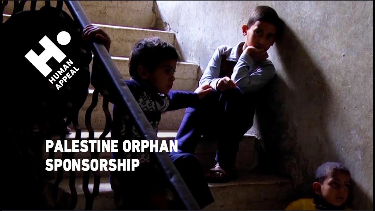 Помогите сироте в Палестине