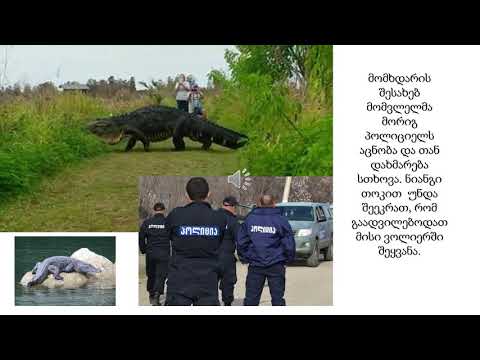 ნიანგები