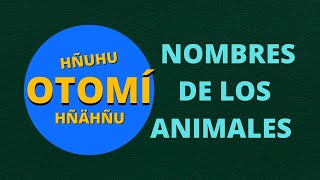 Los nombres de los animales en Otomí -  1