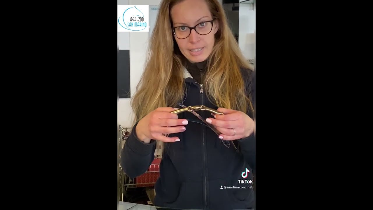 Quale è il filetto o imboccatura migliore per il mio cavallo?