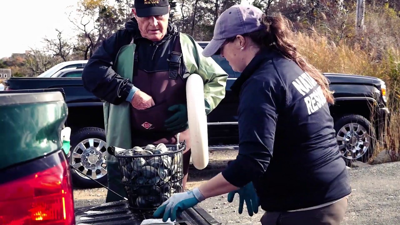 Recreational Shellfish Licenses YouTube