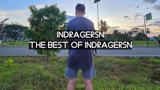 INDRAGERSN - BIRDS