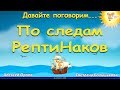 По следам РептиНаков. Алексей Орлов и Светлана Большакова