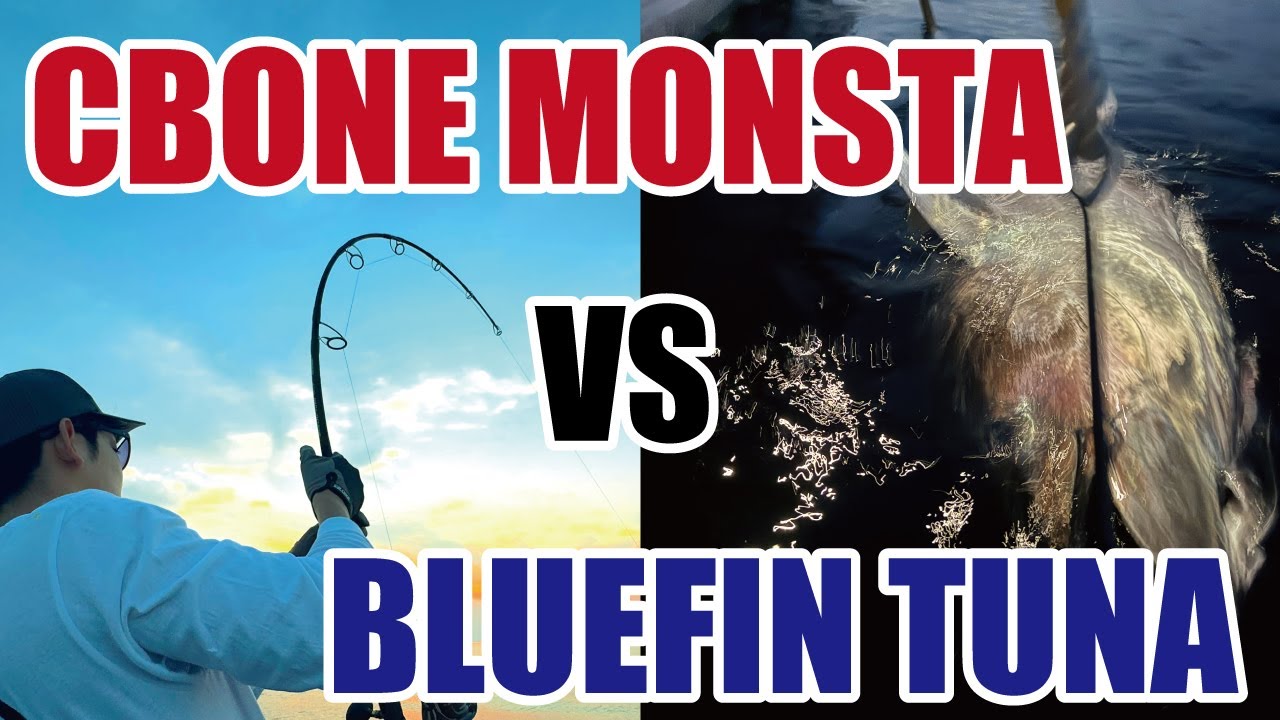 CBONE MONSTA 70/30 fight with 150kg Bluefin Tuna in Japan